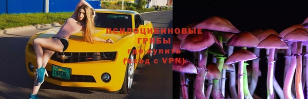 спайс Верея