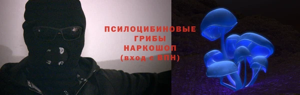 спайс Верея